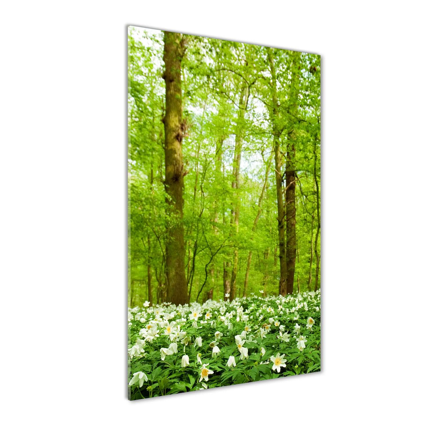 Tableau en verre fleurs dans la forêt pour salon zen 70x140 cm