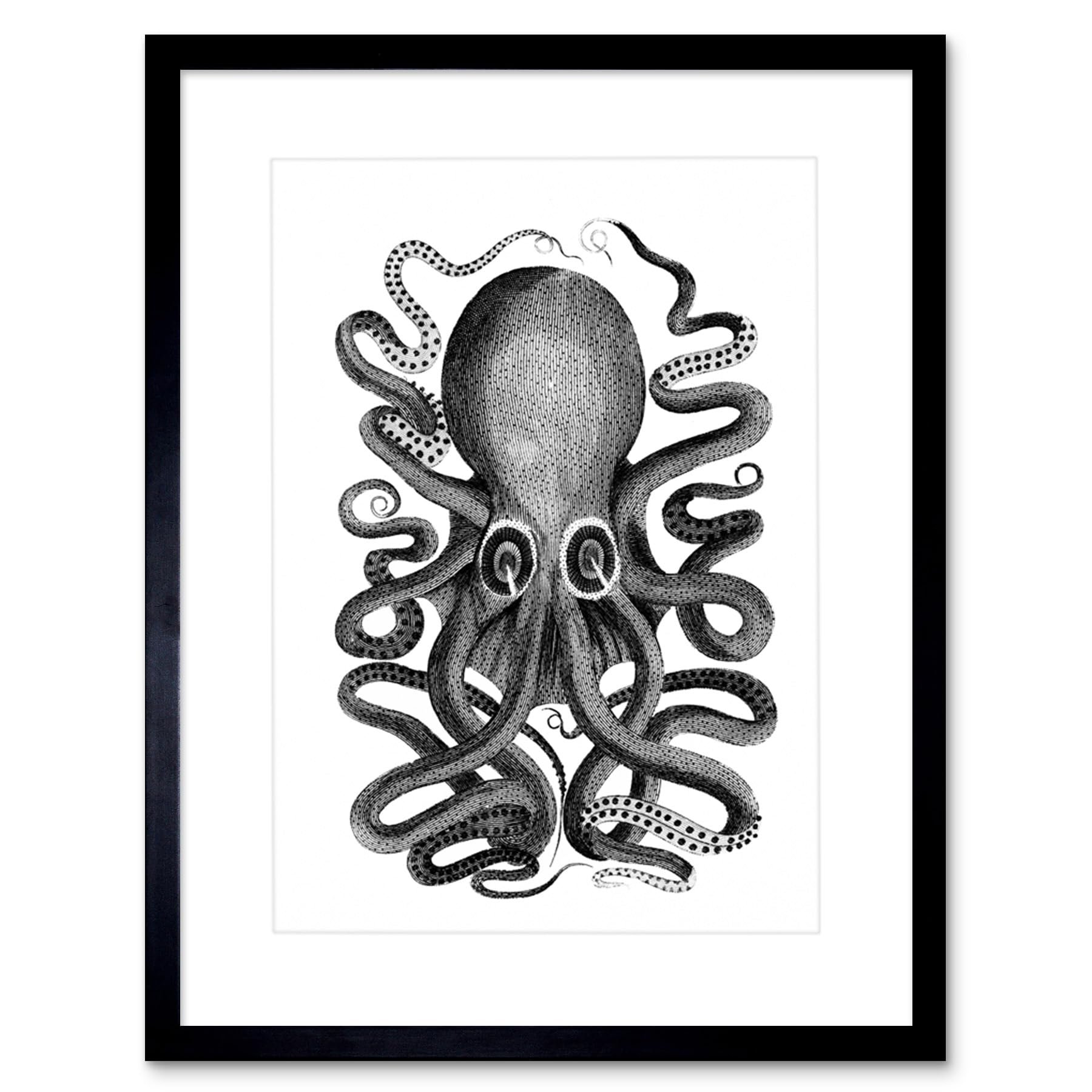 Wee Blue Coo Framed Art Print - Octopus - Grey - 12x16"