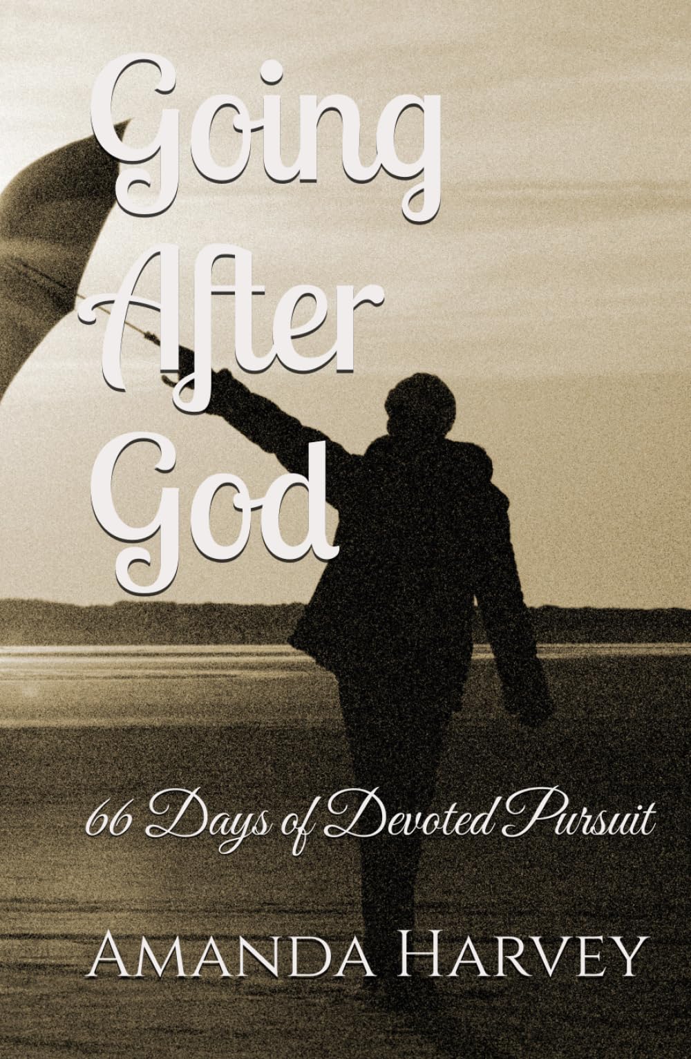 Going After God: 66 Days of Devoted Pursuit