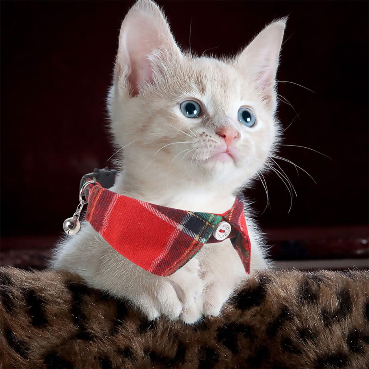 Kisangel 10 Stück Verstellbares Katzenhalsband mit Schleife und Glöckchen