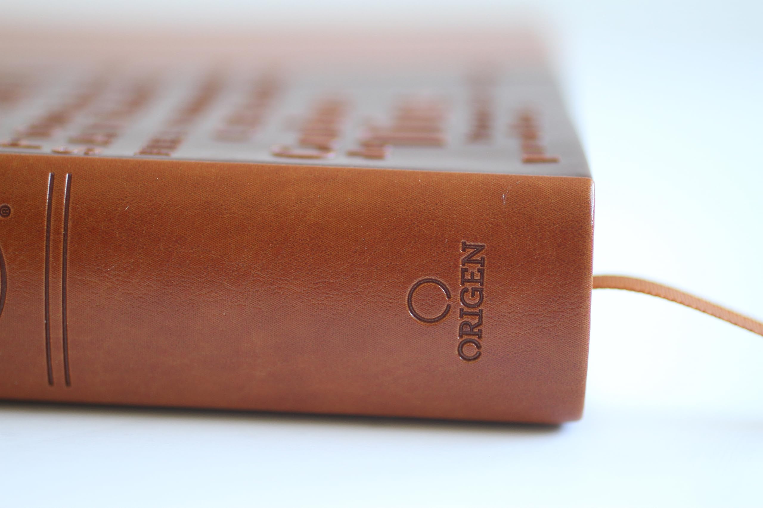 Santa Biblia / Holy Bible: Reina-Valera 1960, canelacon, simil piel, con nombres de Dios / Reina-valera 1960, Brown, Leathersoft With Names of God