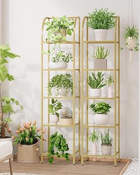 Hzuaneri Bookcase Bookshelf, Tempered Glass Arched Bookshelf