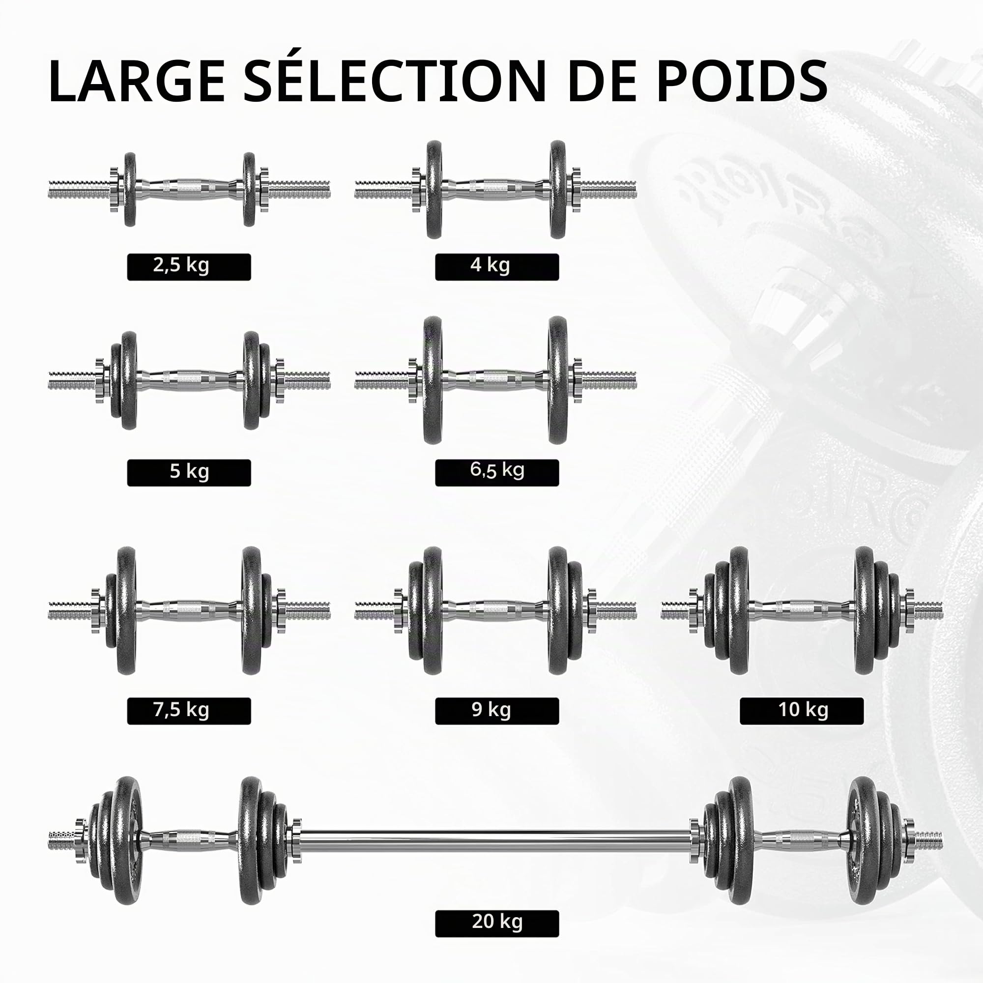PROIRON Hltère en Fonte,20/30KG Kit D'haltères Réglables, Haltère Musculation pour Bras, Épaules, Dos, Poitrine, Abdomen