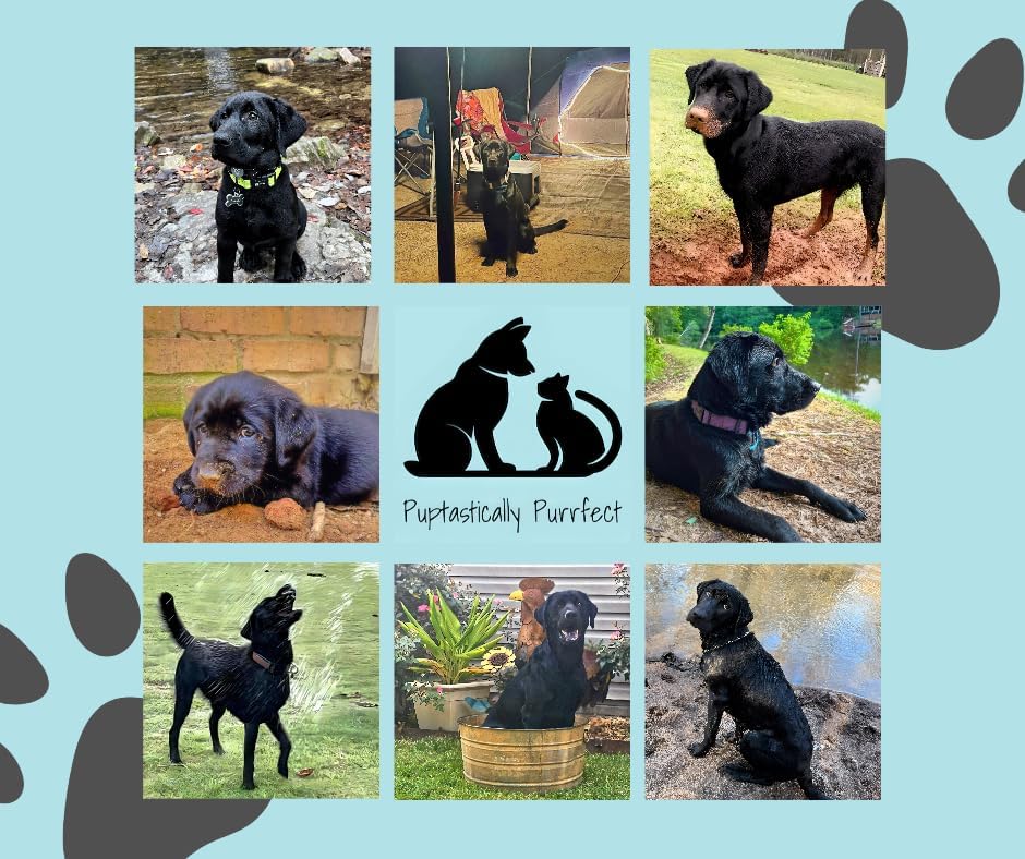 Miniatura 5 de Albornoz para perro, bata de baño para perro, bata de baño, toalla de baño para perro, abrigo de secado para perros ultraabsorbente y de secado