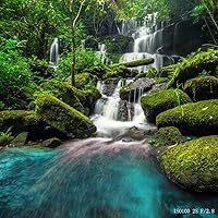 Vista 4 de SIOTI Kit de filtro cuadrado de 4 x 6 pulgadas (3.937 x 5.906 in) con ND2 y ND4 y ND8 y ND16 para Cokin Z Lee Hitech SIOTI Holder (ND)