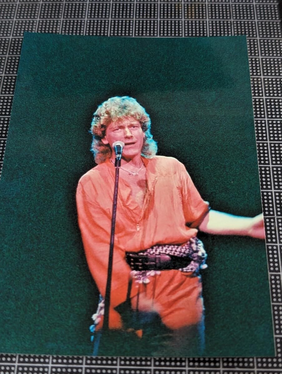 Amazon.co.jp: 1984年来日公演 ロバート・プラント ステージ写真