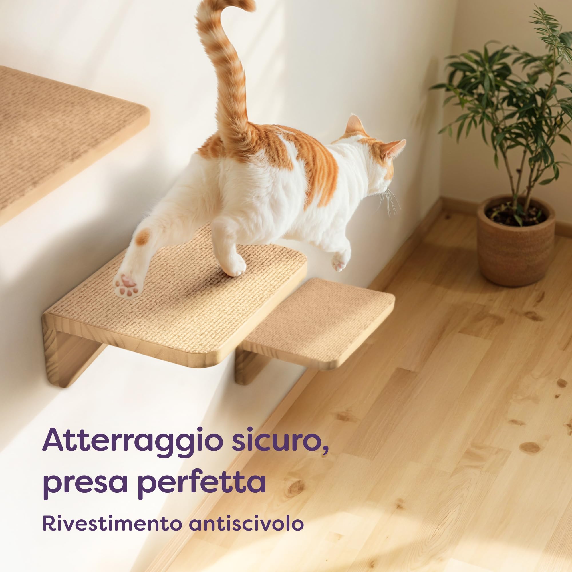 Knupis Percorso Gatti Da Parete - 3 Mensole Gatti Arrampicata in Legno Di Pino Fsc® - Tessuto Antiscivolo - Facile Da Montare - Capacità Di Carico Fino A 30 Kg (Beige)