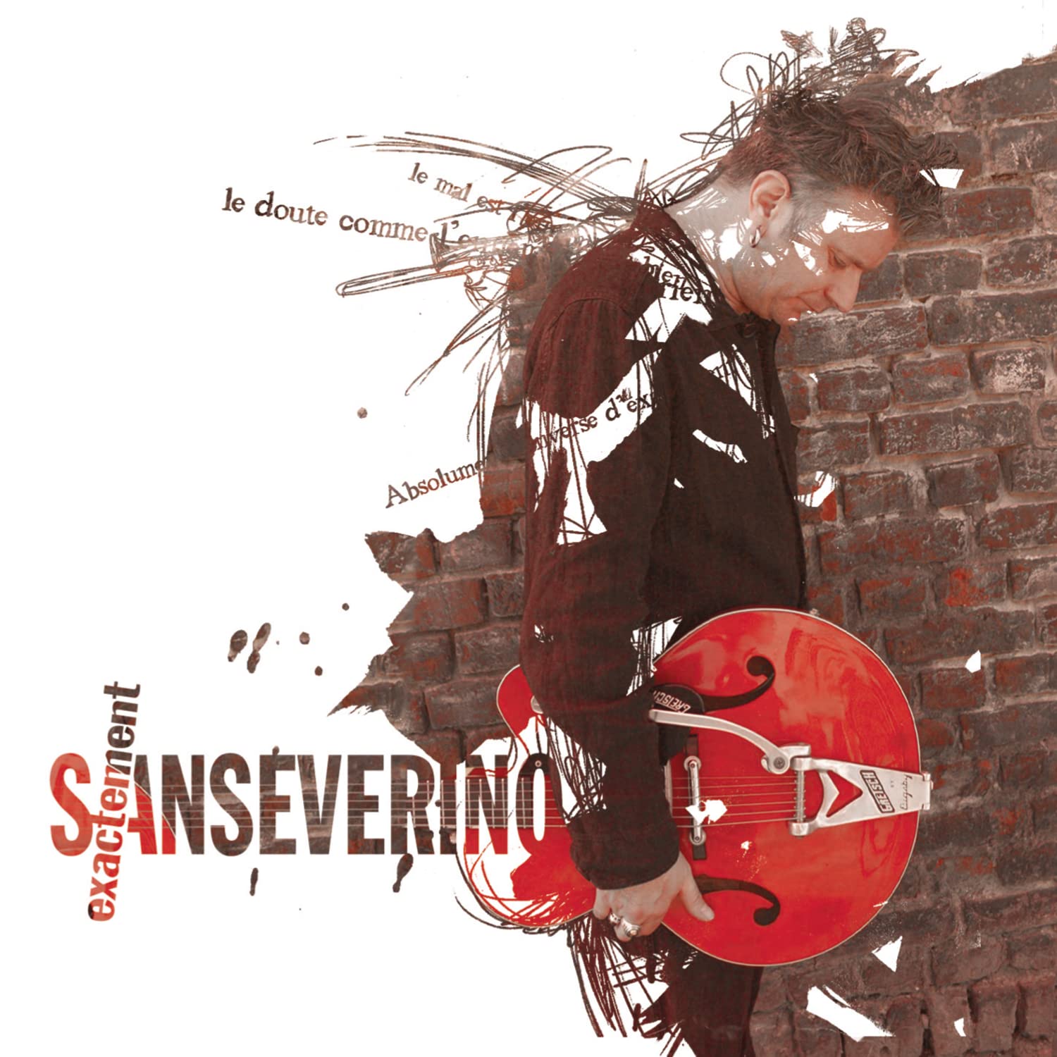 Exactement [Audio CD] Sanseverino and Multi-Artistes
