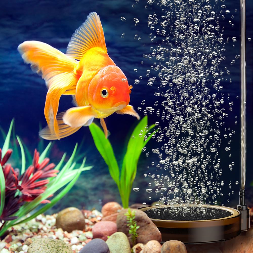 MiOYOOW Pierre à Air d'aquarium, Pierre Bulles Aquarium Résistant à la Corrosion Disque à Bulles pour Culture Hydroponique et Aquarium (à l'exclusion du Tuyau de Pompe à Air) 5/8/10/13cm