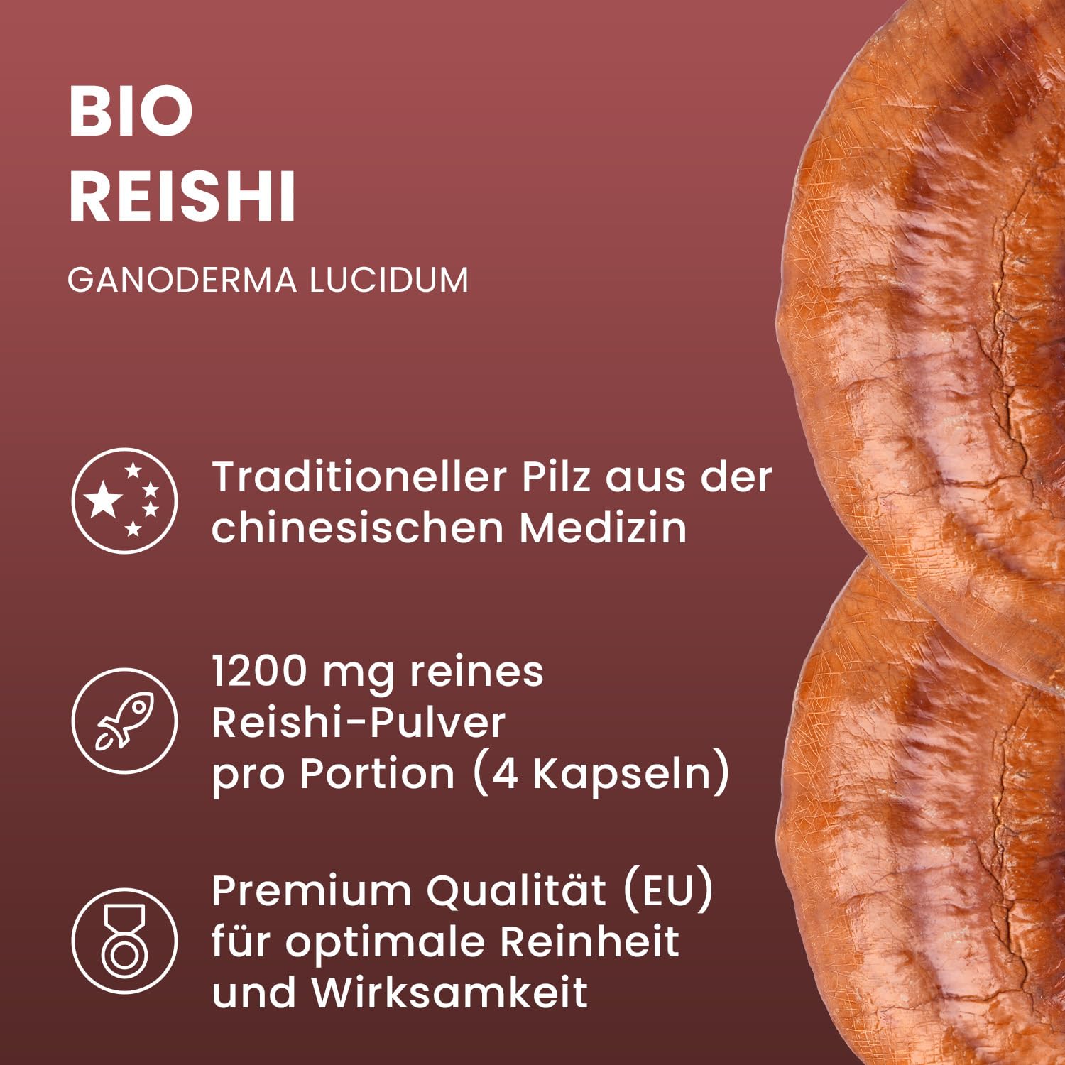 BIO Reishi Kapseln - Reishi Pilz Pulver Kapseln vom ganzen Pilz - Vitalpilz Ganoderma lucidum Pilzpulverkapseln ultrafein vermahlen - AT-BIO-701 Bio-Zucht in Österreich - 120 Stk