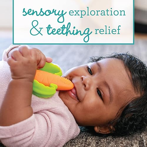 Miniatura 7 de Sassy Bola con baches de desarrollo  Los golpes fáciles de agarrar ayudan a desarrollar habilidades motoras  Los colores pueden variar 5.5 de largo