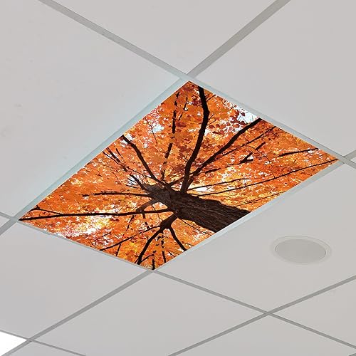 Outus 4 piezas de cubierta de luz fluorescente de otoño para decoración de aula con 10 imanes, filtro de luz, panel magnético de luz de techo, 2 x 4