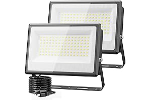 Olafus 2 Pack 100W LED Flood Light Outdoor for Trade Shows