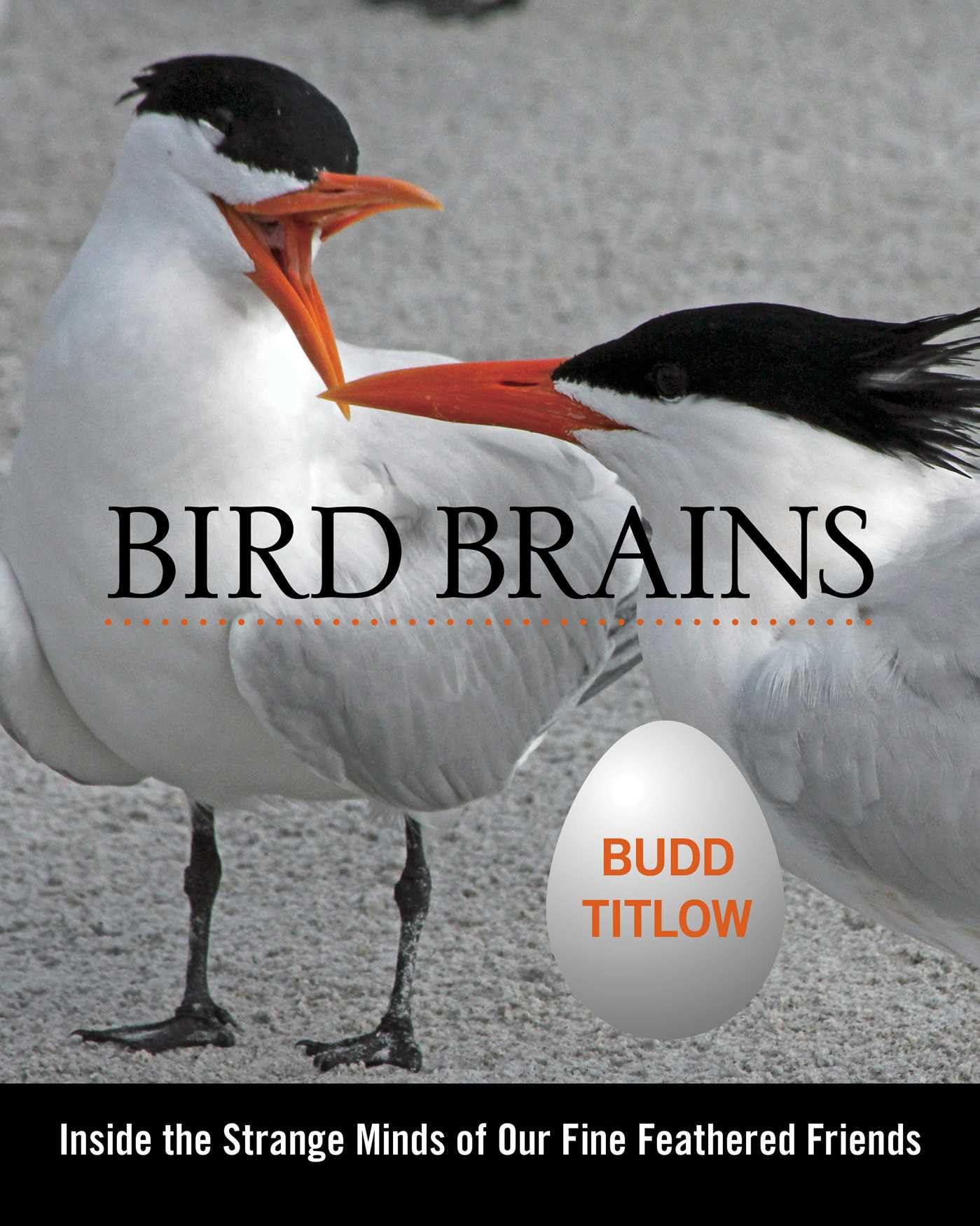 Buy Bird Brains: Inside the Strange Minds of Our Fine Feathered Friends — BookShops.in