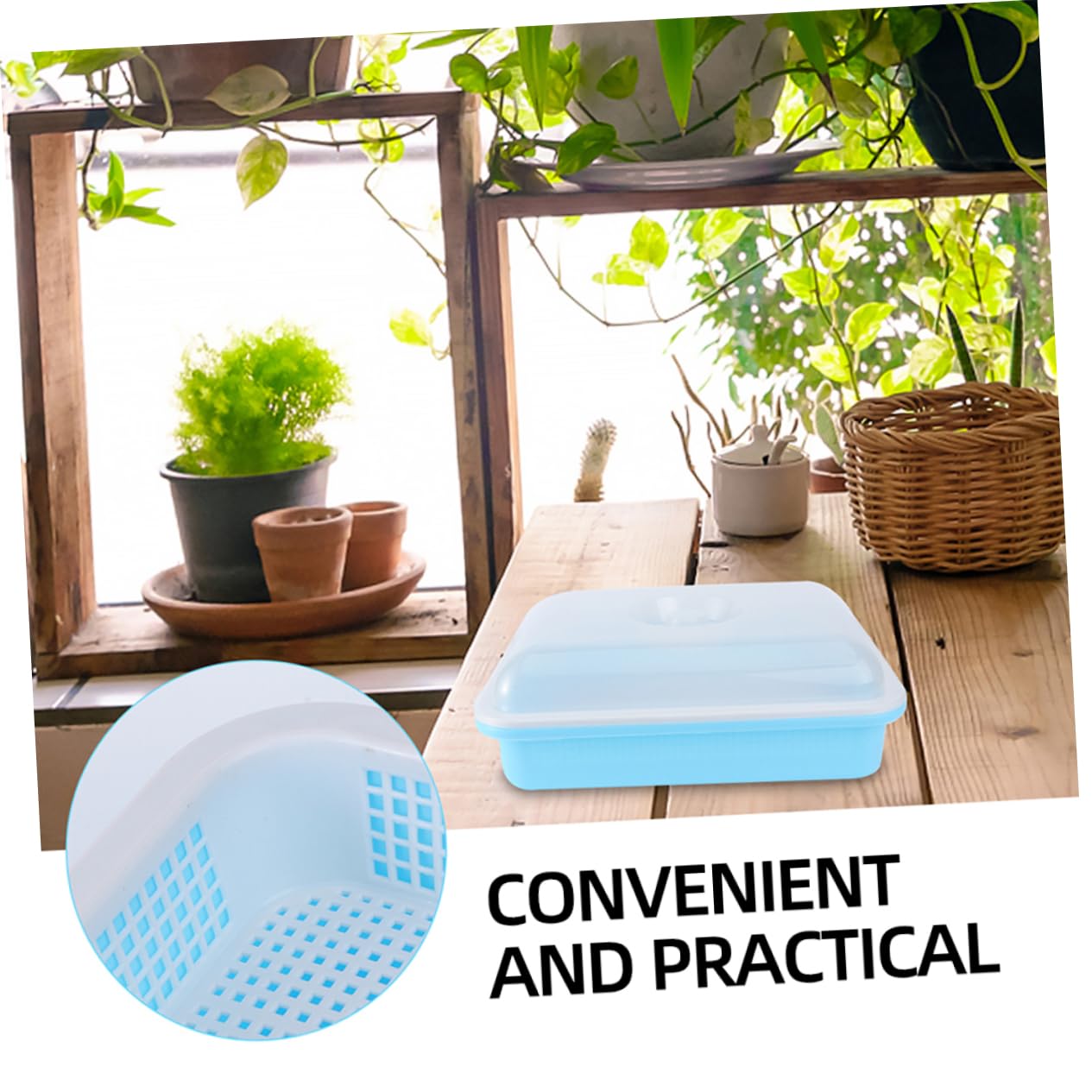 Toddmomy 2 Sätze Garten Anzuchtschalen mit Deckel Teiliges für Pflanzenkeimung und Anzucht Stabile und Langlebige Trays für Wachstumsbedingungen Geeignet für Gemüse und Kräuter Blau
