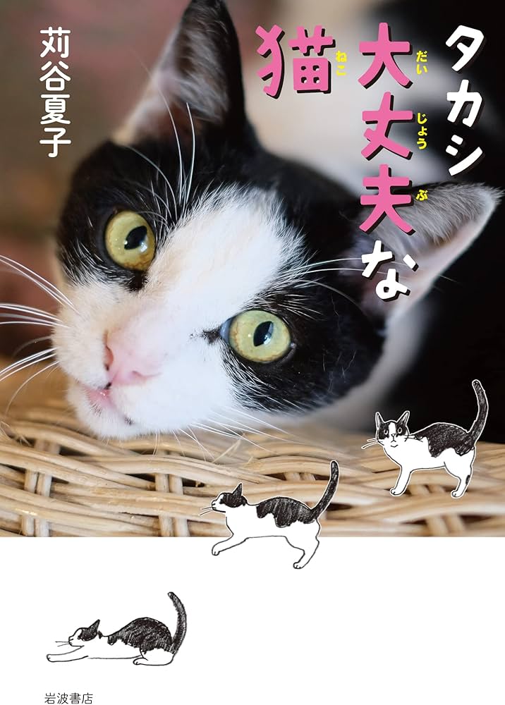 Amazon.co.jp: タカシ 大丈夫な猫 : 苅谷 夏子: 本 Amazon.co.jp: タカシ 大丈夫な猫 : 苅谷 夏子: 本