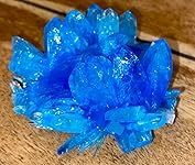 Review Image by TONY D. TONY D.