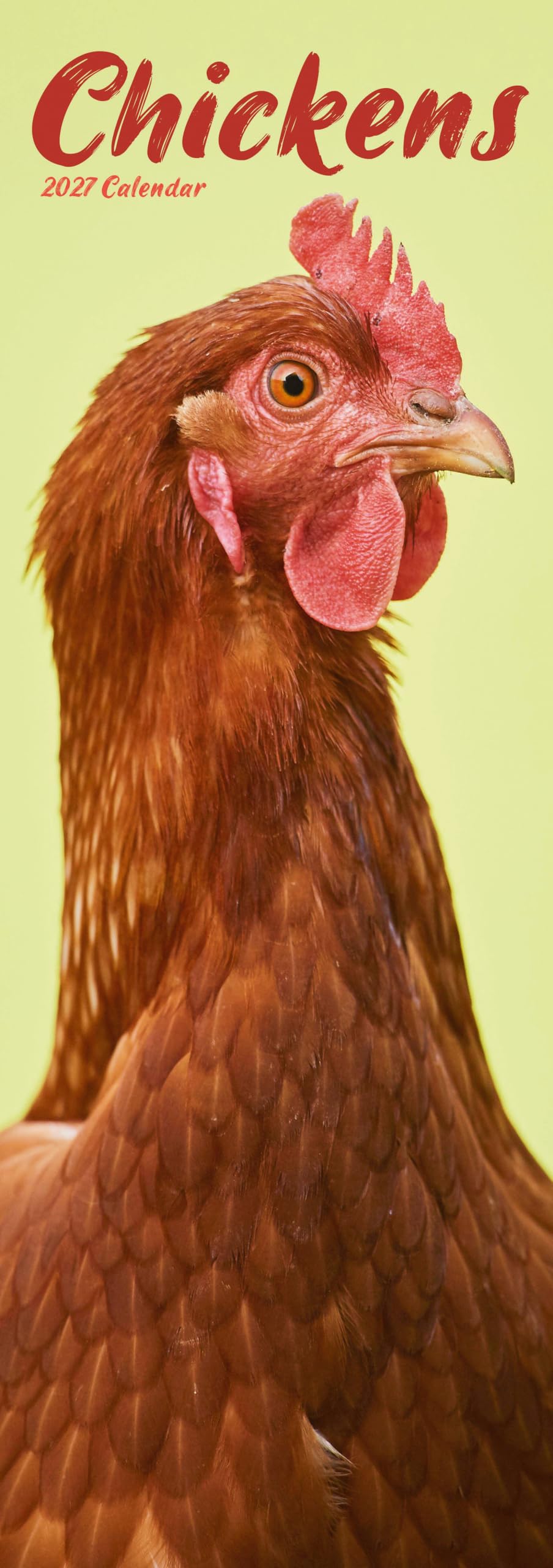 Chickens 2027 Slim Month To View Wall Calendar