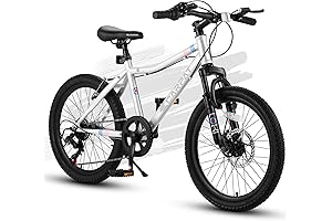 Ecarpat 20 Inch Kids' Bikes for Ages 6-10