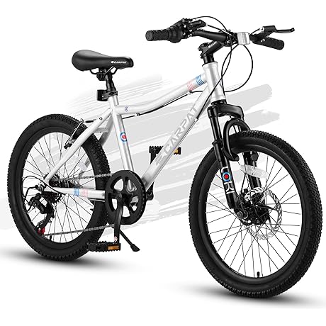 Ecarpat 20 Inch Kids' Bikes for Ages 6-10