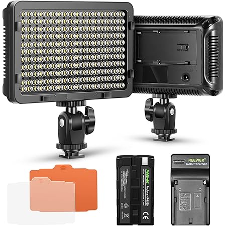 Neewer Dimmable 176 LED Video Light on Camera LED Panel with 2200mAh Li-ion Battery and Charger for Canon, Nikon, Samsung, Olympus and Other Digital SLR Cameras for Photo Studio Video Photography