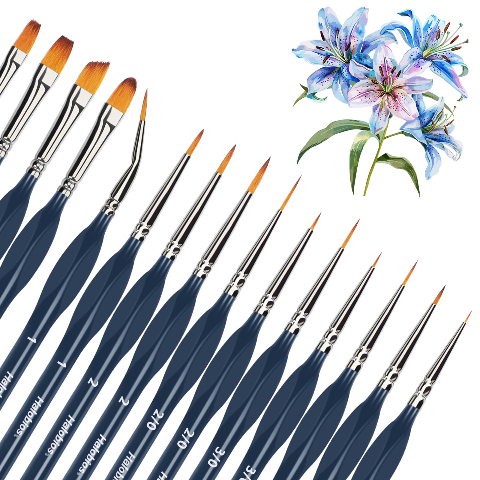 Halobios Fine Detail Brush Set, Painting Brush Set 15 Pcs Watercolor & Acrylic Painting Brushes for Miniatures, Modeling, Painting by Numbers