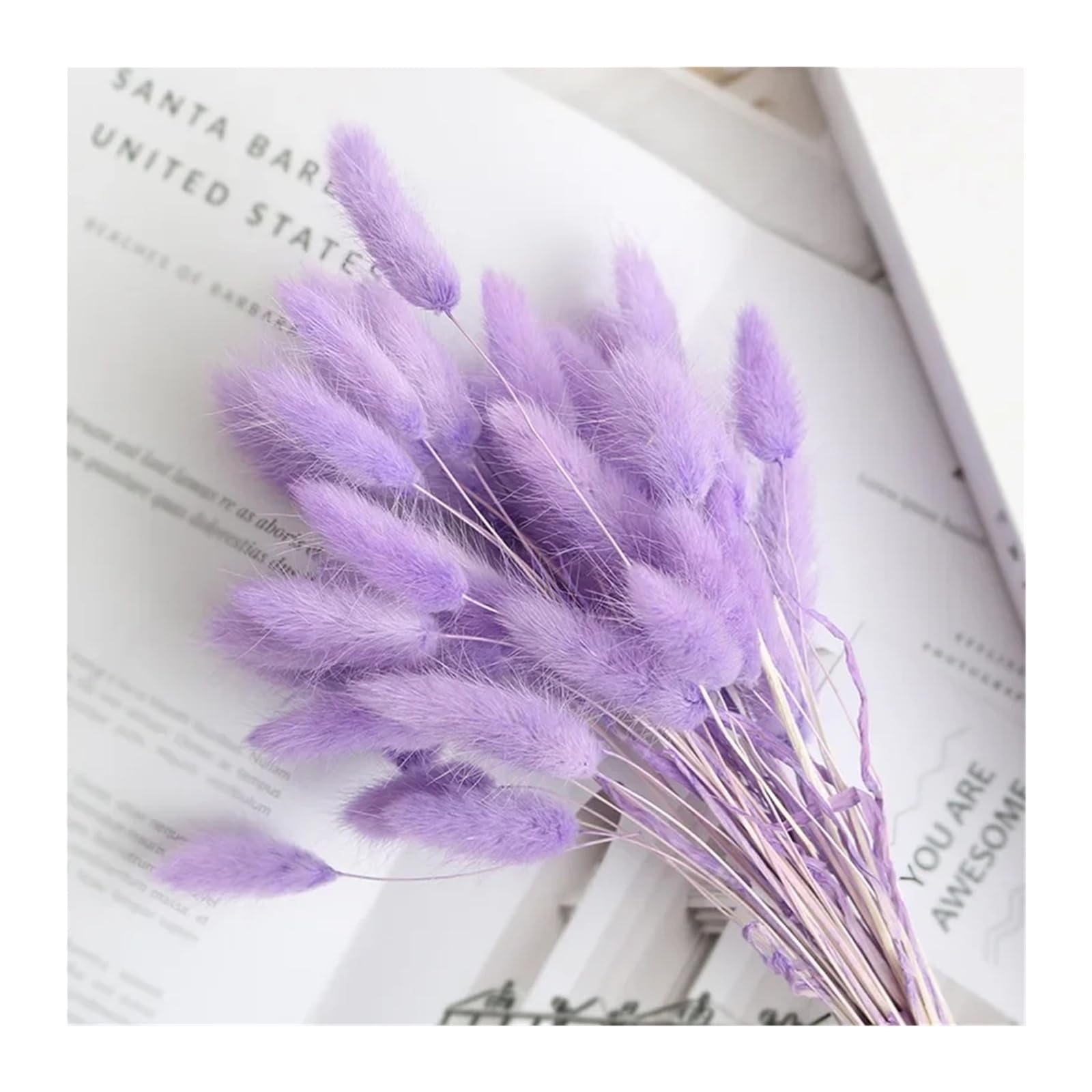 Generico 50/100 pièces d'herbe naturelle de queue de lapin, fleurs séchées pour bouquet de mariée, décoration intérieure et photographie(Light Purple,50PCS)