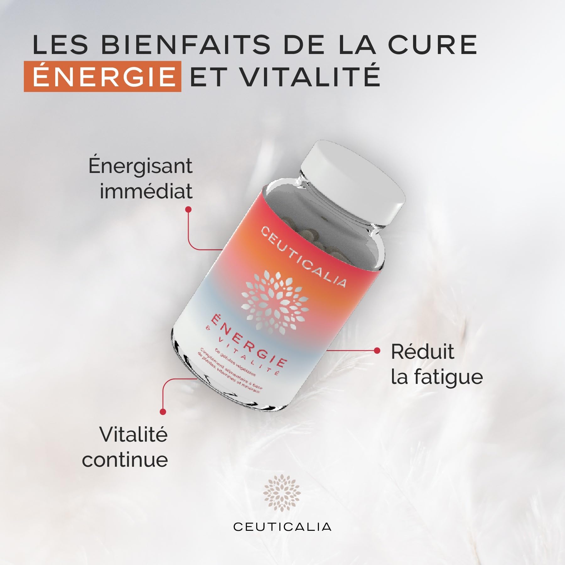 Complément Alimentaire Énergie et Vitalité - Boost Energie Anti Fatigue et Épuisement - Pour Adulte - Ginseng, Guarana, Maté, Acérola, Magnésium, Vitamines D et B - 180 Gélules - 90 Jours