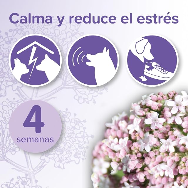 Foto 3 de 6 de Beaphar