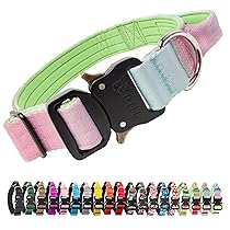 TSPRO Premium Collare per Cani, Regolabile Collare Tattico con Maniglia e una Robusta Fibbia Metallica a Sblocco Rapido, per Cani di Taglia Media a Grande (Cyan Gradiente M)
