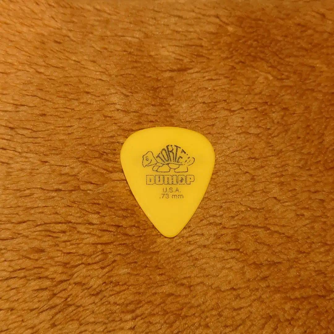 Amazon.co.jp: RADWIMPS ピック ロック バンド : おもちゃ 