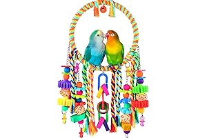 KATUMO Bird Swing for Small Birds: A Haven of Entertainment and Stimulation