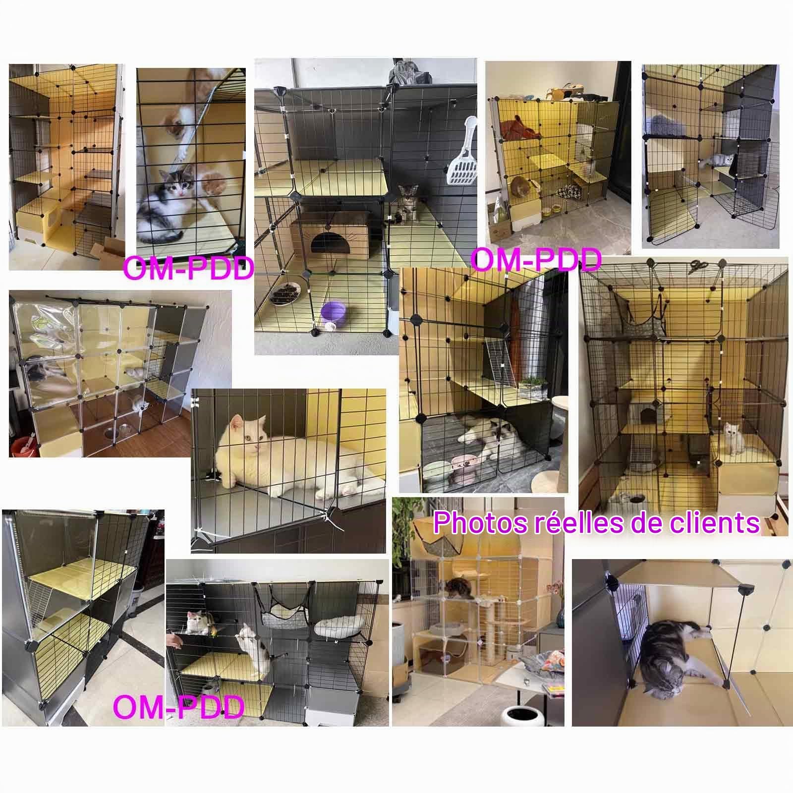 Grande Cage d'intérieur pour Chat avec bac à litière, enclos pour Chat pour l'intérieur, enclos intérieur pour Chaton avec Toit, Design Transparent, Super Porteur, Facile à Assembler et déta