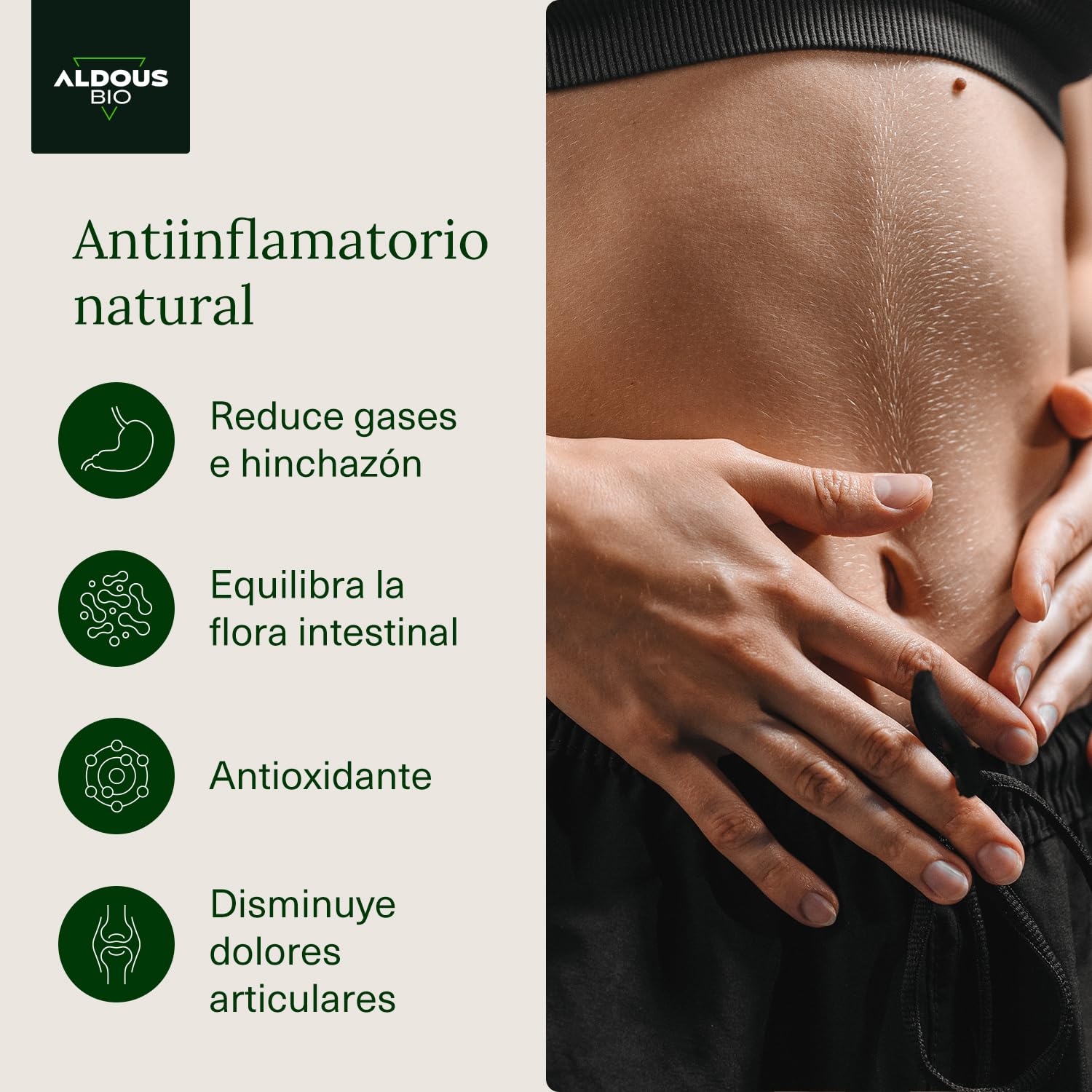 2 x 250 Cápsulas PROBIÓTICOS + Cúrcuma con Jengibre y Pimienta Negra - 1460mg - Cúrcuma en Cápsulas con Curcumina y Piperina - Antiinflamatorio Natural - Fórmula Avanzada - Certificación Ecológica