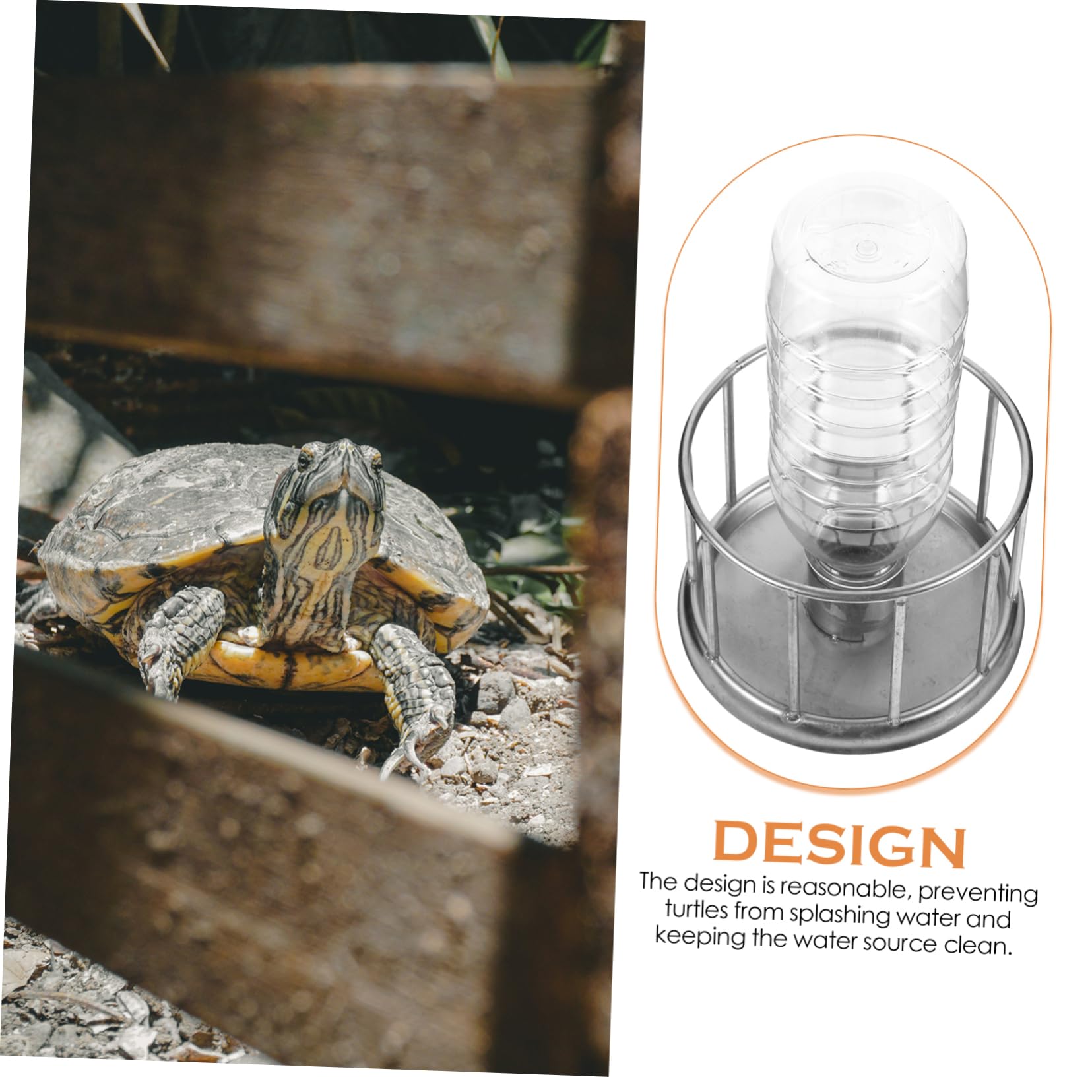 BESPORTBLE 4piezas Mini Comedero De Agua para y Reptiles Cuenco De Acero Inoxidable para Terrario Alimentador Multifuncional para Mascotas Pequeñas para y Lagartos