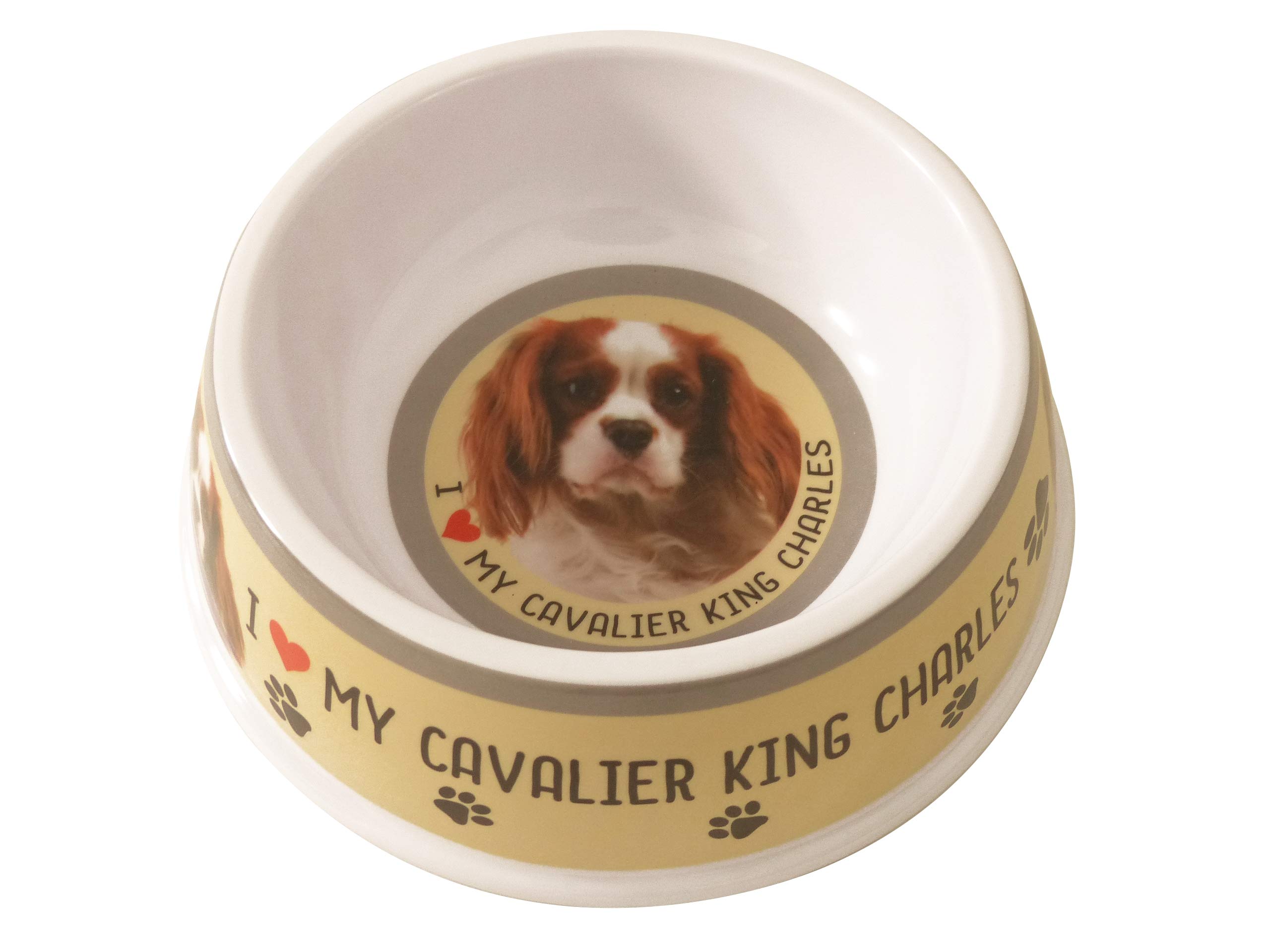 Cavalier King Charles Pet Bowl - Dog Bowl - 20cm (Blenheim)