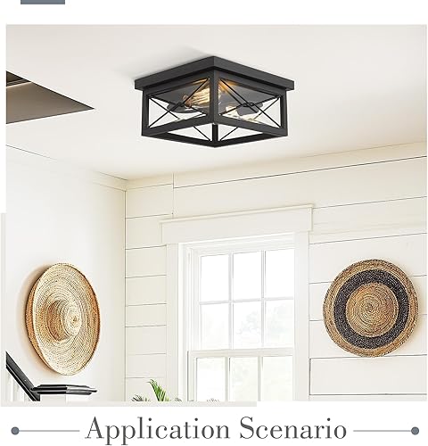 Miniatura 5 de Emliviar, lámpara de techo para interiores y exteriores, 0387B-CL