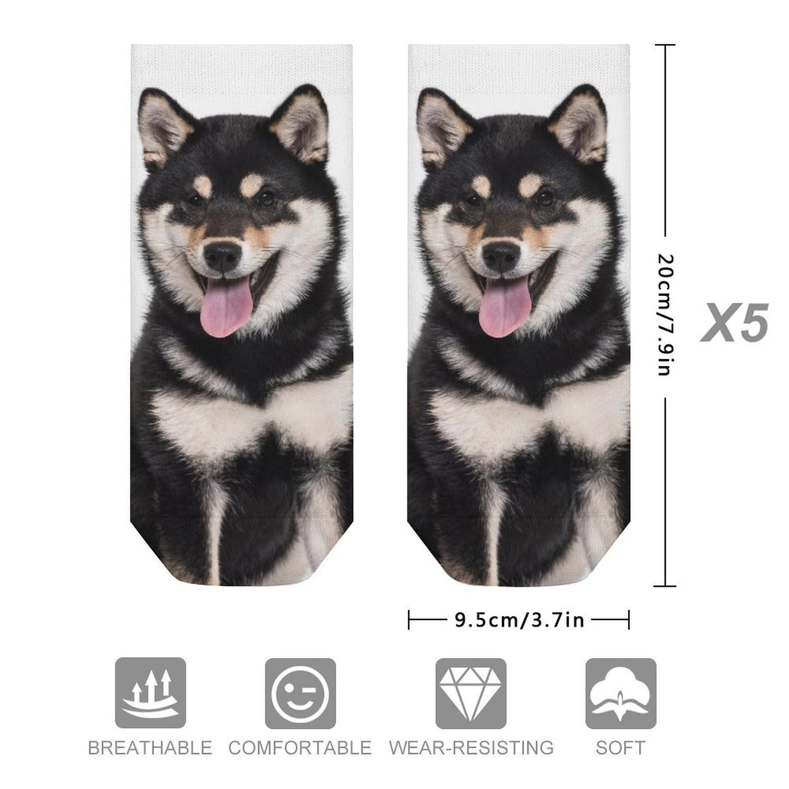 Amazon.co.jp: 靴下 メンズ 柴犬 犬柄 黒柴 ソックス 5足セット
