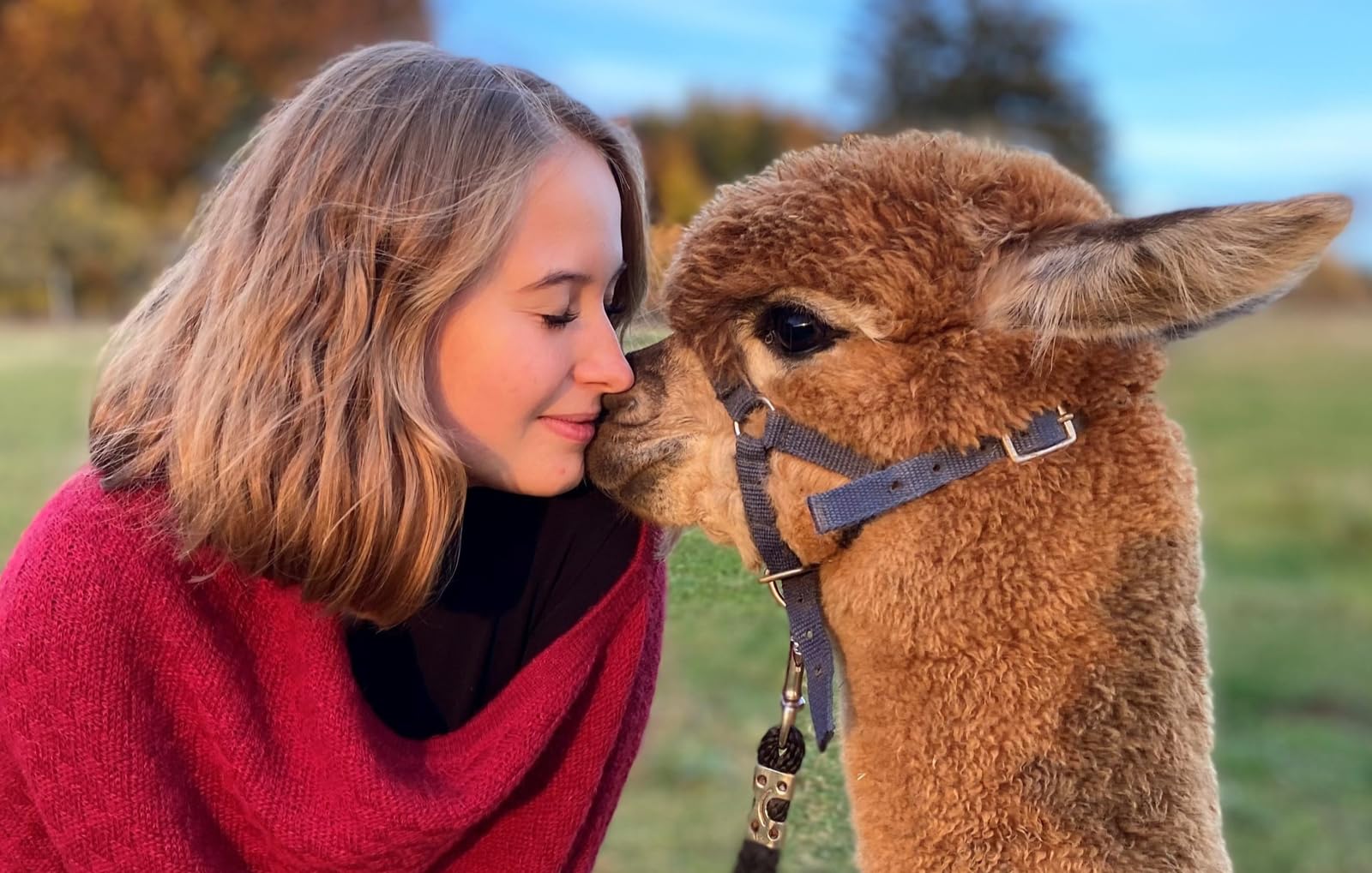 mydays Geschenkgutschein: Alpaka Wanderung Lonsee für 2
