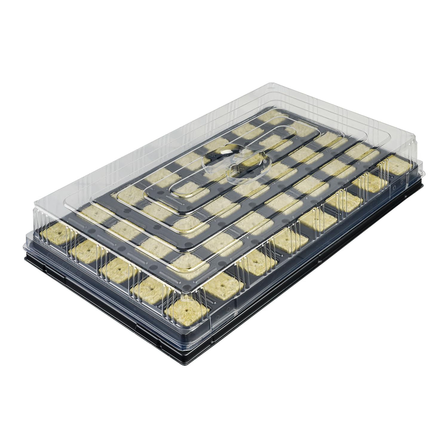 GREEN24 Anzuchthaus STW-40 inkl. 40 Steinwollewürfel 40x40x40mm - Anzuchthaus Steinwolle für Pflanzenanzucht und Hydroponik - Für Samen, Saatgut und Stecklinge