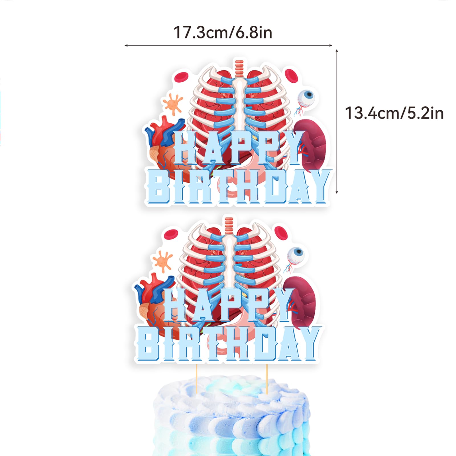 POMNUG Lot De 33 Décorations D'anniversaire Anatomiques
