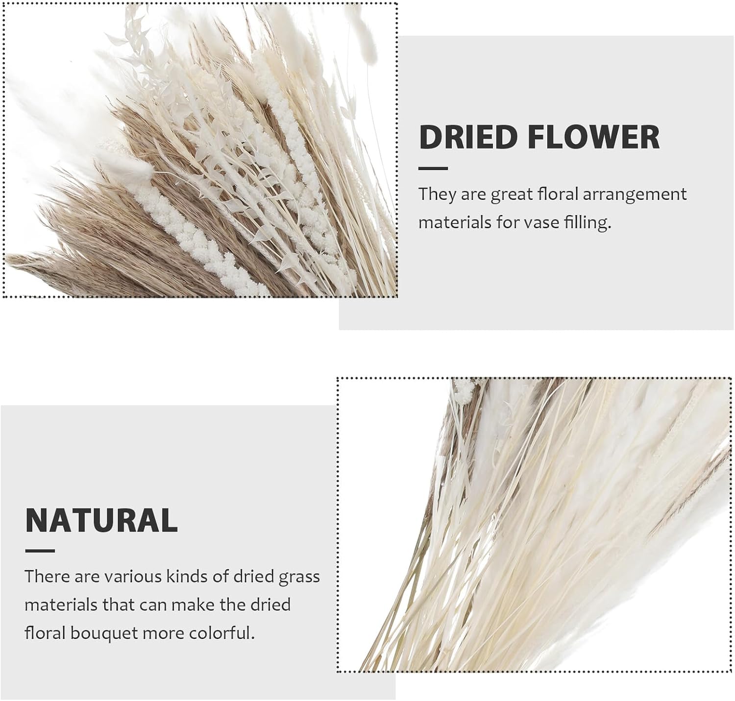 BESPORTBLE 1 Box Dried Pampas Grass Bouquet Natural Dried Reed Floral Arrangement Stems with Box Rustic Vase Filling Decor for Wedding Home Table Centerpiece