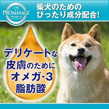 give_me_frog_ページ コジコジ】メガネケース（FLOWER BREAK TIME）COJ-074 | まる子