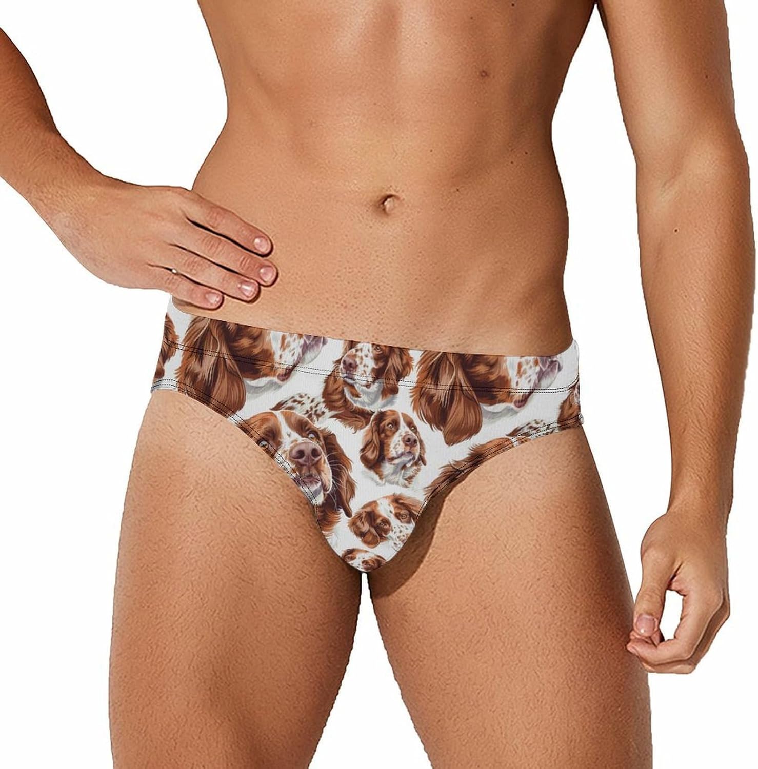 Brittany Spaniel Dog Novelty Men's Brief Swimwear Pants Swimming Trunks Beach Shorts Underwear