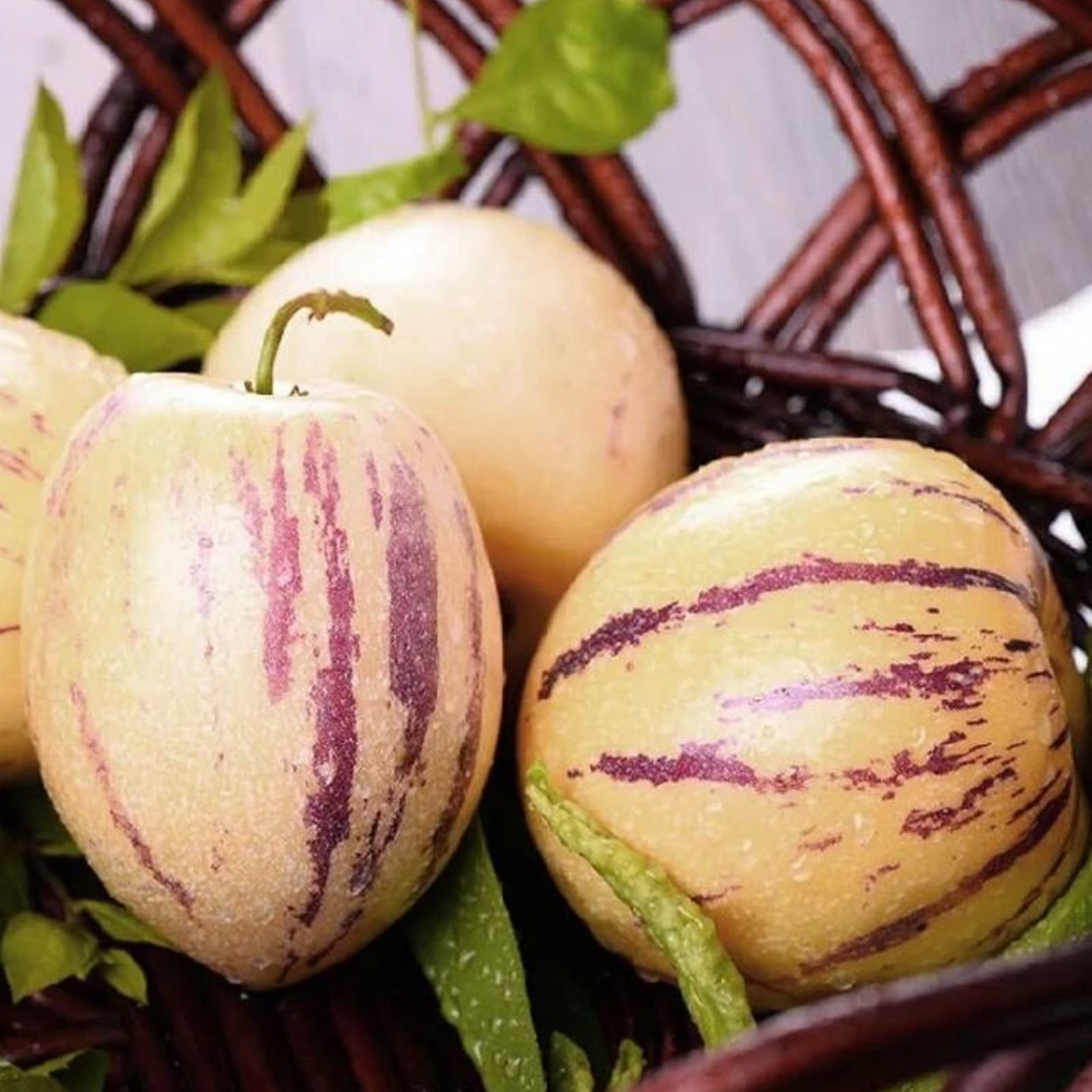 Generic Nasiona Melona Pepino, 30 Sztuk/worek Nasiona Melona Pepino Non Gmo Łatwa Pielęgnacja Pożywne Muricatum Aiton Nasiona Żeń-szeń Nasiona Owoców do Ogrodu Nasiona melona pepino