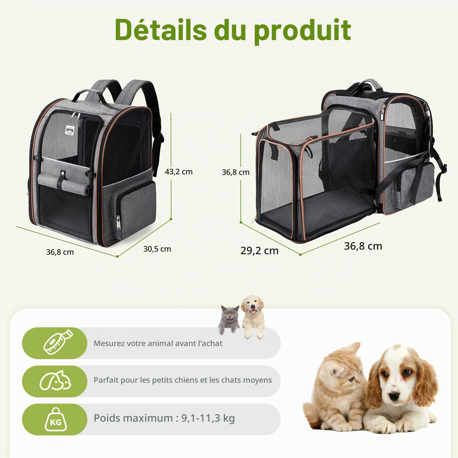 Sac à Dos Extra Large pour Chat - Extensible - pour Chiens de Petite et Moyenne Taille et Chats de Taille Moyenne à Grande - Gris