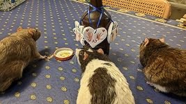 Review Image by Amber Kerr Amber Kerr