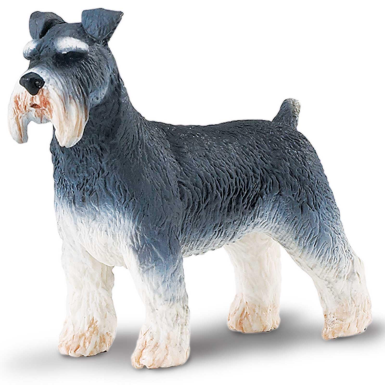 Amazon.com: Safari Ltd. Schnauzer Figurine - Detailed 3