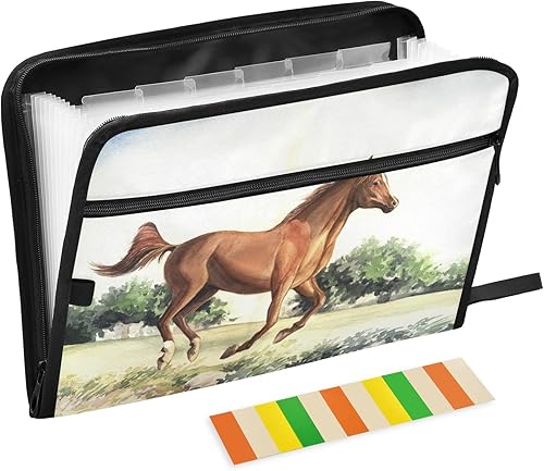 ALAZA Carpeta expandible para caballos, 13 bolsillos, organizador de documentos expandible, con cierre de cremallera, para oficina en casa, tamaño