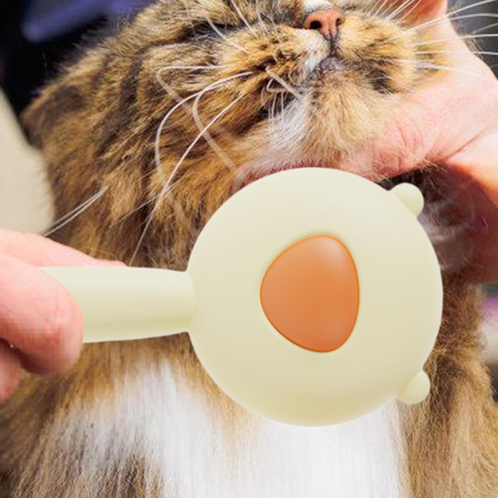 Hundebürste Zum Entfernen Loser Haare Werkzeug Für Die Pflege Von | Katzen Entfilzungskamm Für Kurzhaarige Und Langhaarige Katzen Und Hunde Sowie K